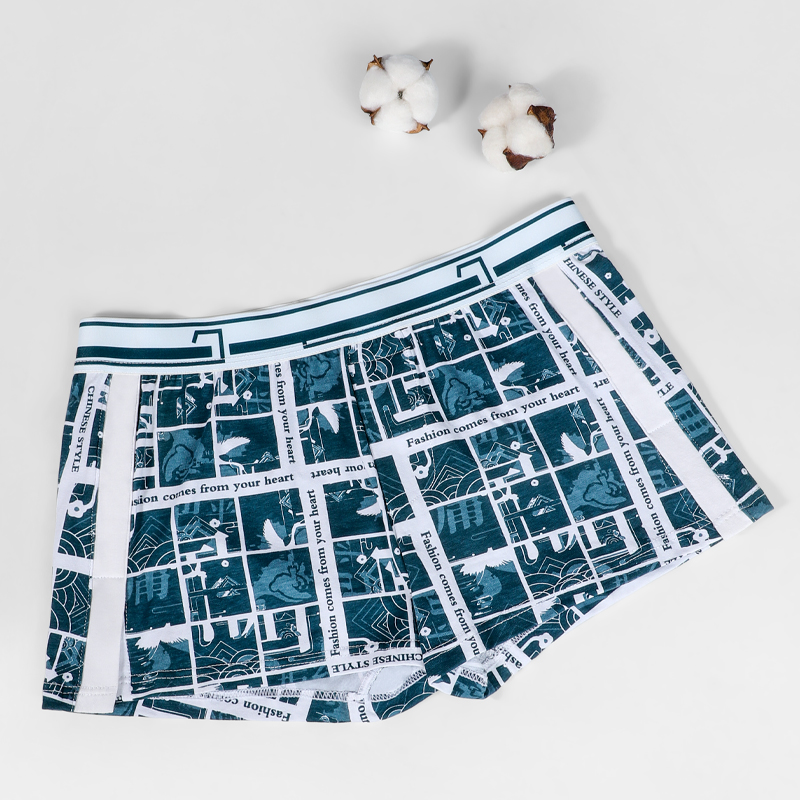 Ropa interior masculina, panta - Boxer Brief Pack Cotton reseña y precio
